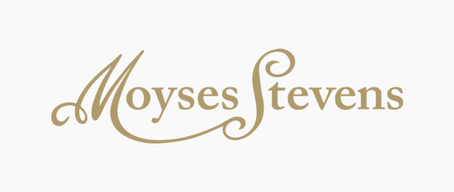 Moyses Steven Logo